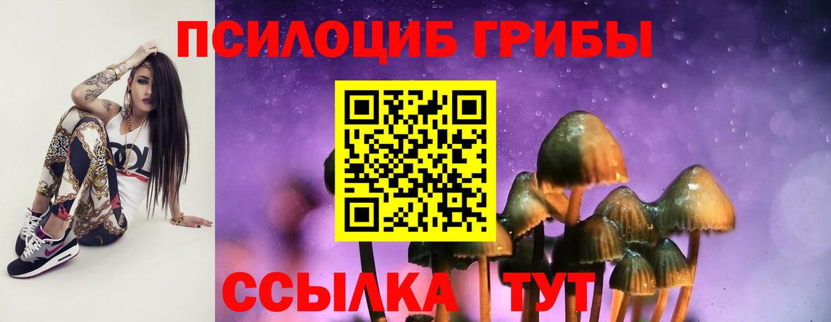 Галлюциногенные грибы прущие грибы Верхняя Пышма