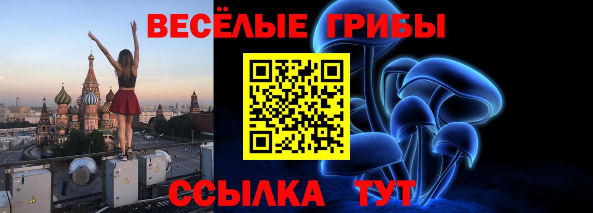 Галлюциногенные грибы Psilocybine cubensis  Вход с VPN  Верхняя Пышма 
